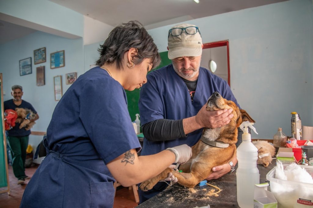 LLÉVALO AL VETERINARIO DE FORMA PERIÓDICA